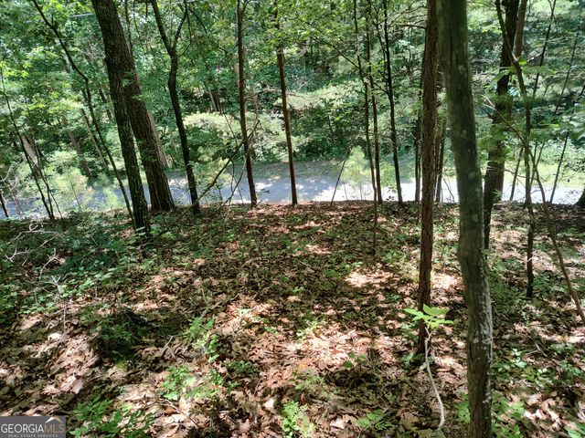560 Neptune Circle, Ranger, GA 30734