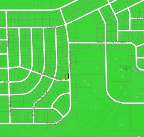 BLK 1222 LOT 14 FISHER LANE WAY, Ocklawaha, FL 32179