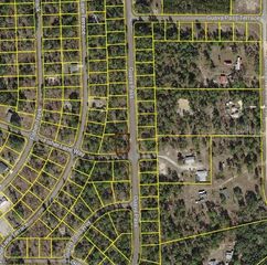 BLK 1222 LOT 14 FISHER LANE WAY, Ocklawaha, FL 32179