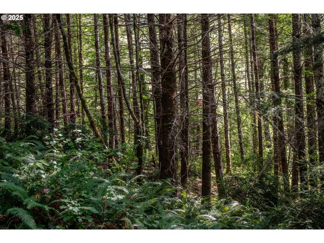 92433 Ward Creek Ln, Myrtle Point, OR 97458