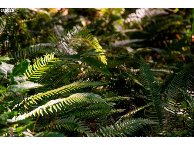 92433 Ward Creek Ln, Myrtle Point, OR 97458