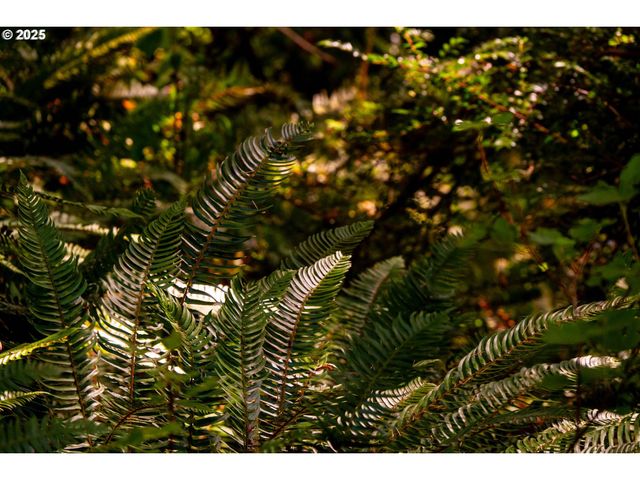 92433 Ward Creek Ln, Myrtle Point, OR 97458