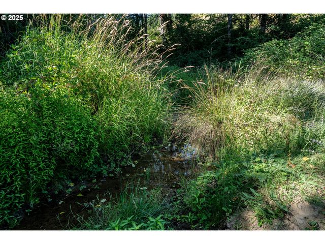 92433 Ward Creek Ln, Myrtle Point, OR 97458