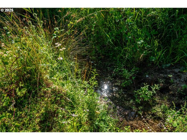 92433 Ward Creek Ln, Myrtle Point, OR 97458