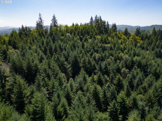 92433 Ward Creek Ln, Myrtle Point, OR 97458