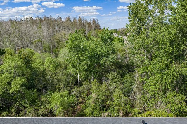 30131 MOSSBANK DRIVE, Wesley Chapel, FL 33543