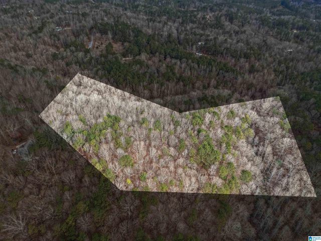 000 HILLVIEW DRIVE, Pell City, AL 35125