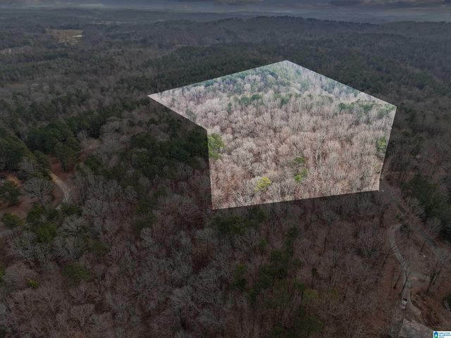 000 HILLVIEW DRIVE, Pell City, AL 35125