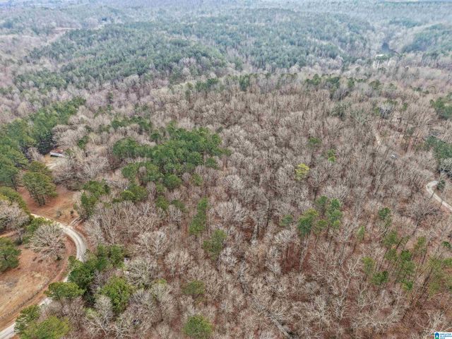 000 HILLVIEW DRIVE, Pell City, AL 35125