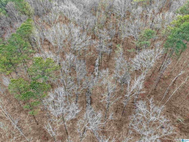 000 HILLVIEW DRIVE, Pell City, AL 35125