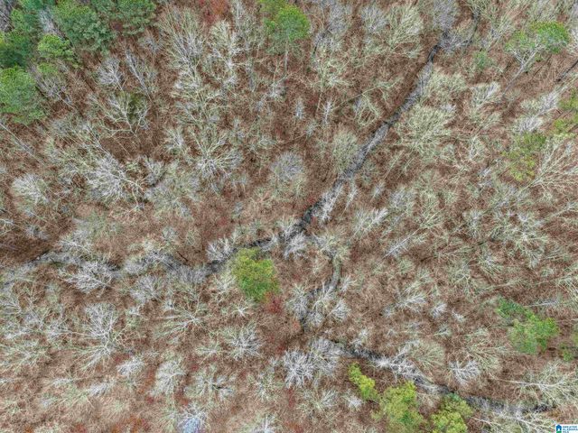 000 HILLVIEW DRIVE, Pell City, AL 35125