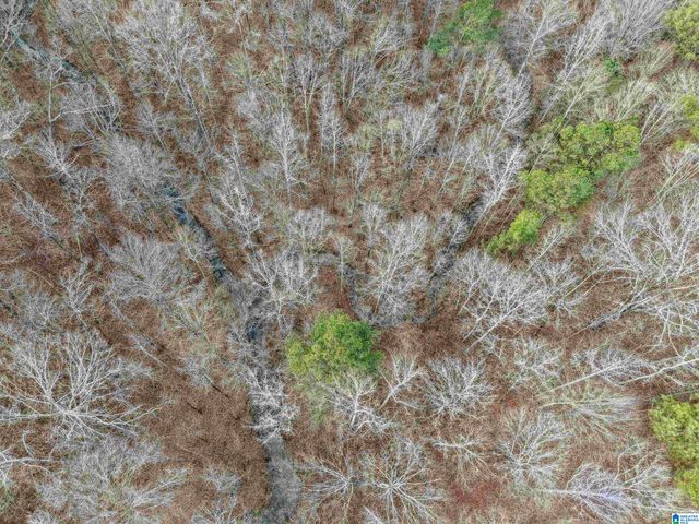 000 HILLVIEW DRIVE, Pell City, AL 35125