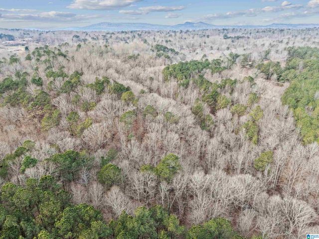 000 HILLVIEW DRIVE, Pell City, AL 35125