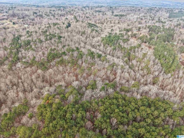 000 HILLVIEW DRIVE, Pell City, AL 35125