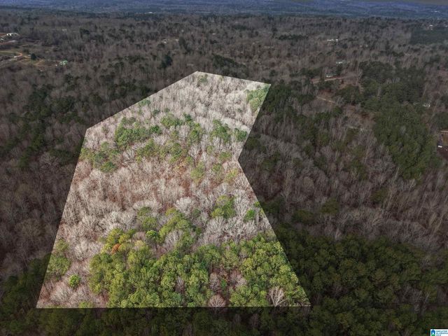 000 HILLVIEW DRIVE, Pell City, AL 35125