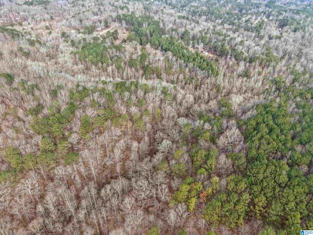 000 HILLVIEW DRIVE, Pell City, AL 35125