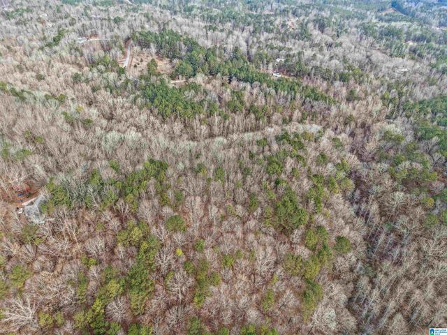 000 HILLVIEW DRIVE, Pell City, AL 35125