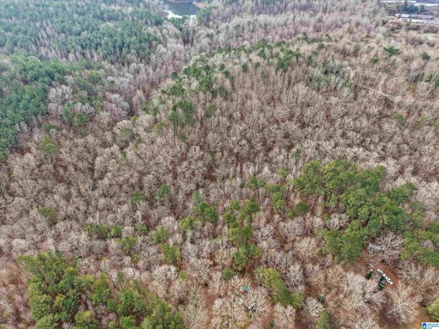 000 HILLVIEW DRIVE, Pell City, AL 35125