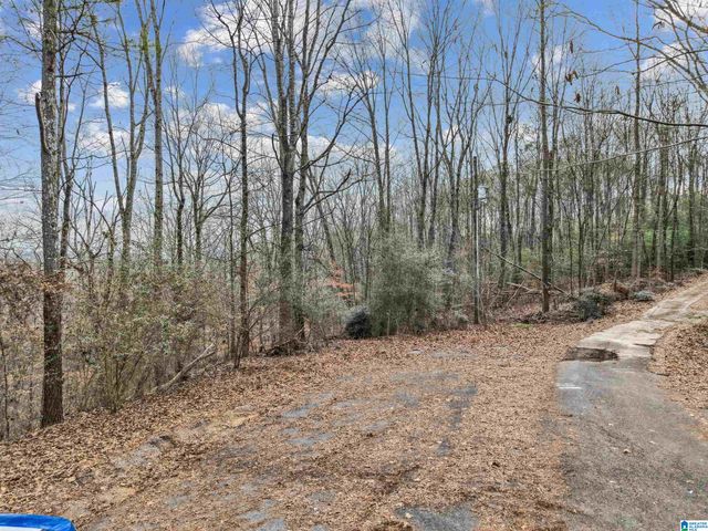 000 HILLVIEW DRIVE, Pell City, AL 35125