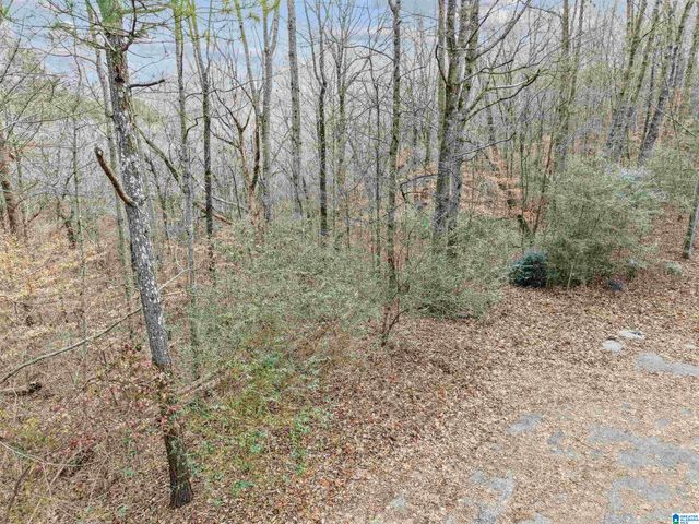 000 HILLVIEW DRIVE, Pell City, AL 35125