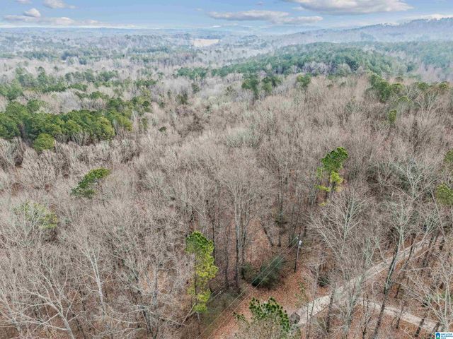 000 HILLVIEW DRIVE, Pell City, AL 35125