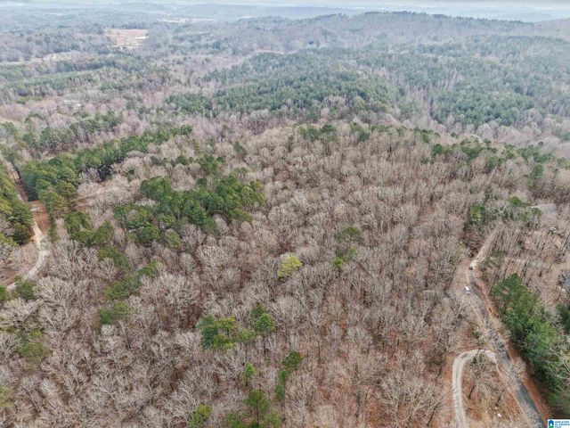 000 HILLVIEW DRIVE, Pell City, AL 35125