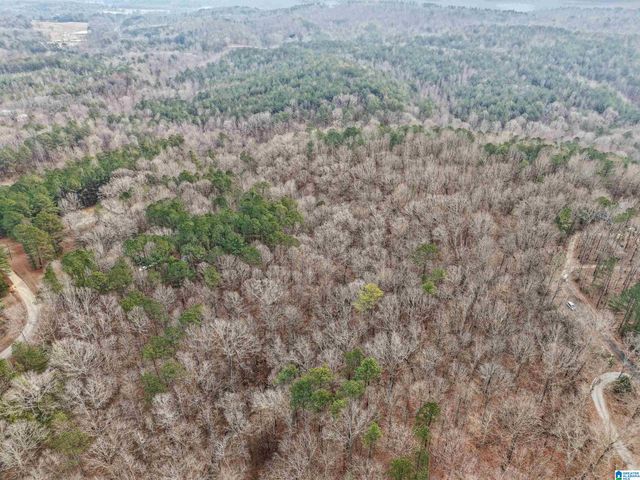 000 HILLVIEW DRIVE, Pell City, AL 35125