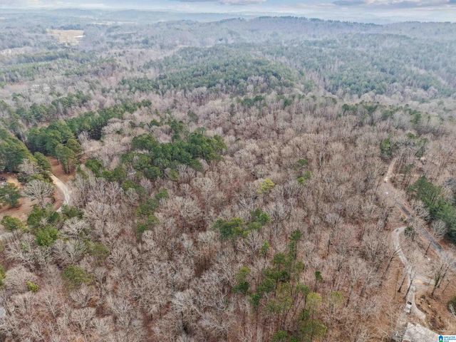 000 HILLVIEW DRIVE, Pell City, AL 35125