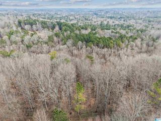 000 HILLVIEW DRIVE, Pell City, AL 35125