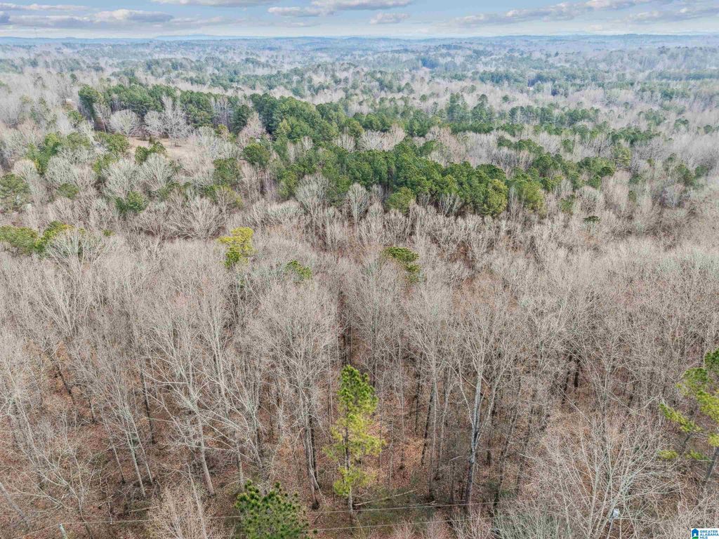 000 HILLVIEW DRIVE, Pell City, AL 35125