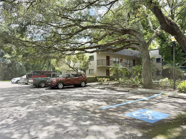 11723 RAINTREE VILLAGE BOULEVARD D, Temple Terrace, FL 33617