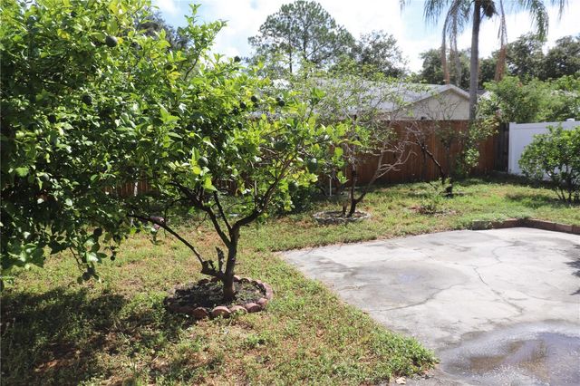 11012 BRIGHTSIDE DRIVE, Tampa, FL 33624