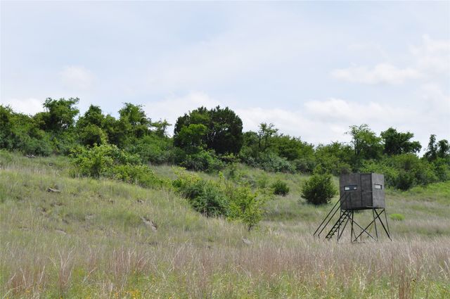 1849 Two Bush Road, Perrin, TX 76486