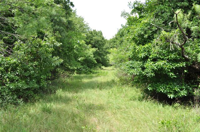 1849 Two Bush Road, Perrin, TX 76486