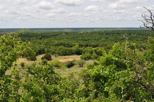 1849 Two Bush Road, Perrin, TX 76486
