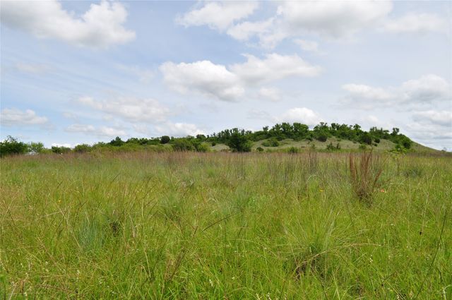 1849 Two Bush Road, Perrin, TX 76486