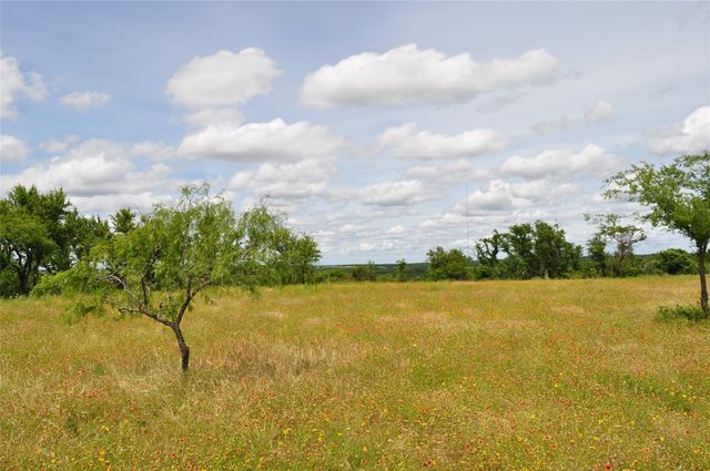 1849 Two Bush Road, Perrin, TX 76486