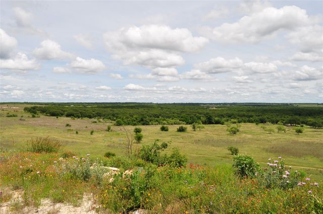 1849 Two Bush Road, Perrin, TX 76486