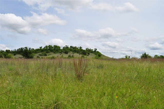1849 Two Bush Road, Perrin, TX 76486