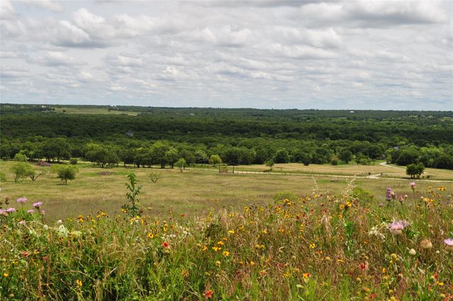 1849 Two Bush Road, Perrin, TX 76486