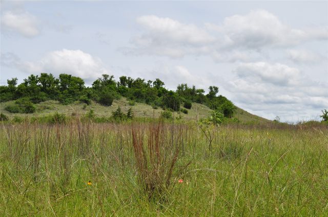 1849 Two Bush Road, Perrin, TX 76486