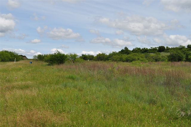 1849 Two Bush Road, Perrin, TX 76486