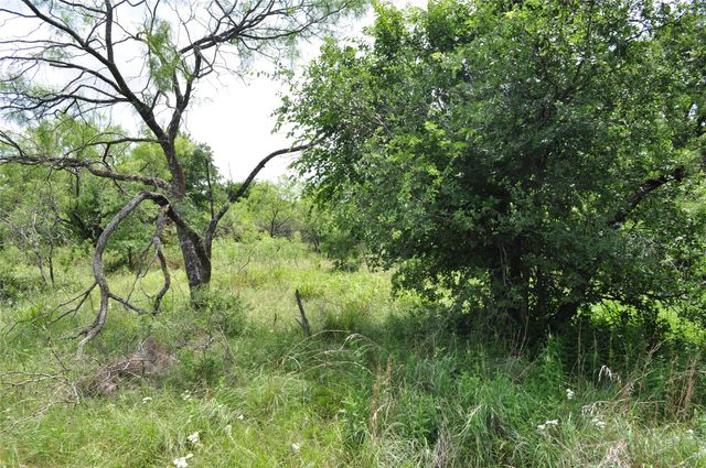 1849 Two Bush Road, Perrin, TX 76486
