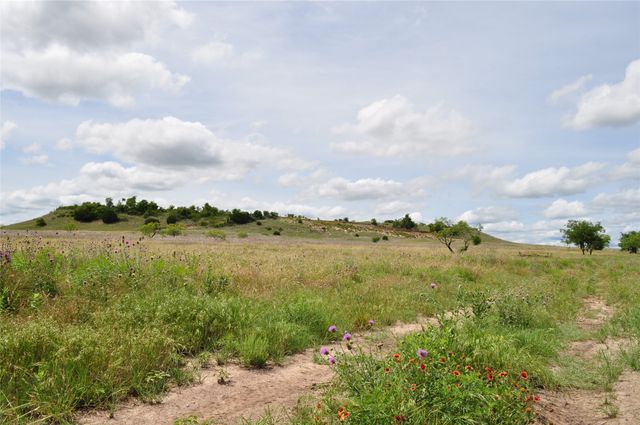 1849 Two Bush Road, Perrin, TX 76486