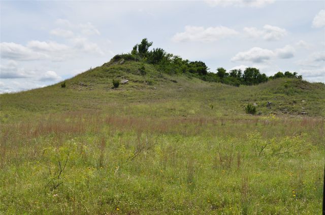 1849 Two Bush Road, Perrin, TX 76486