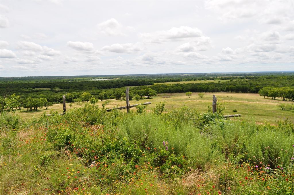 1849 Two Bush Road, Perrin, TX 76486