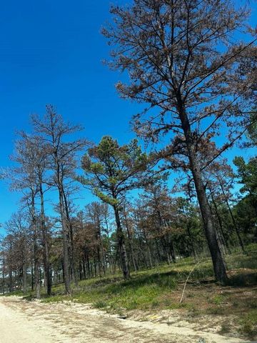 0 Hardy Road Road, Houston, TX 77073