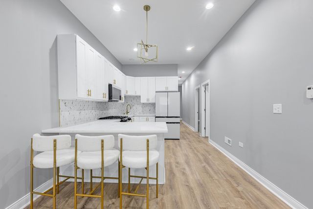 1539 S Christiana Avenue, Chicago, IL 60623