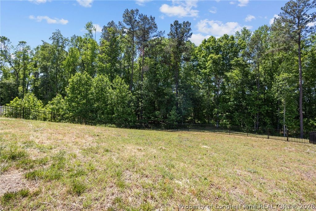 122 Chedworth Drive, Angier, NC 27501 — photo 22