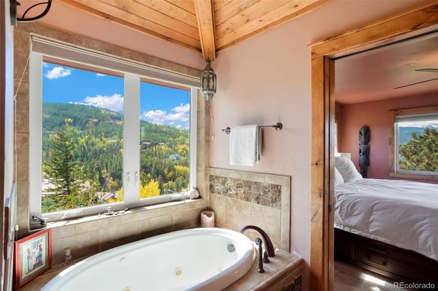 45 Alpine Drive, Nederland, CO 80466